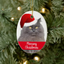 Search for meowy christmas tree decorations Red