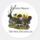 Search for german wirehaired pointer stickers Deutsch drahthaar