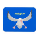 Search for flying birds magnets Cartoon