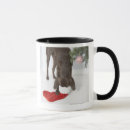 Search for snout mugs Indoors