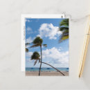 Search for florida sunset cards Palm trees