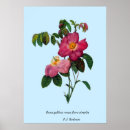 Search for redouté posters Pink