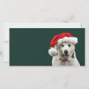 Search for yellow lab christmas cards Canine