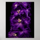 Search for delphinium art Purple