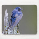 Search for gary mouse mats North america