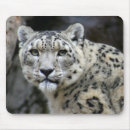 Search for black leopard mouse mats White