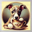Search for whippet posters Cute
