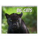 Search for tiger office supplies 2026