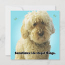 Search for stupidity cards Sorry