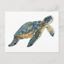 Search for sea turtle art postcards Marine