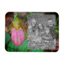 Search for lady slipper magnets Orchid
