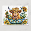 Search for highland cattle postcards Flowers