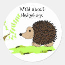 Search for cartoon hedgehog stickers Wildlife