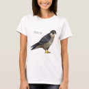 Search for falcon tshirts Bird