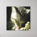 Search for fur canvas prints Animal