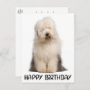 Search for old english sheepdogs cards Puppy