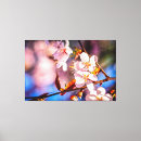 Search for japanese cherry blossom canvas prints Nature