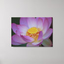 Search for flower meaning Meaning of flowers