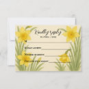 Search for yellow daffodil postcards Bloom