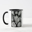 Search for haeckel mugs Ernst