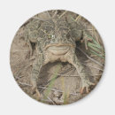 Search for toads magnets Outdoors