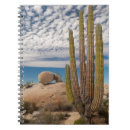 Search for baja notebooks Flora