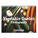 Search for vegetable photography Garden