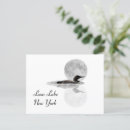 Search for common horizontal postcards Wildlife