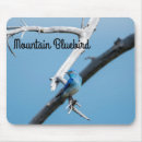Search for bluebird mouse mats Wildlife
