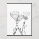 Search for calendula postcards Garden