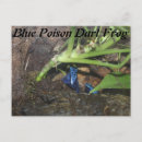 Search for dart postcards Frog