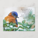 Search for bird tree postcards Birding