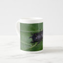 Search for beetle mugs Coleoptera