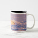 Search for sow mugs Wildlife