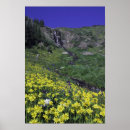 Search for rolf nussbaumer art Colourful