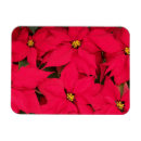 Search for bright red flower cards Flowers