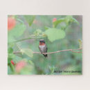 Search for ruby photography Ruby throated hummingbird
