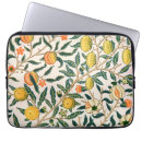 Search for crafted style cases William morris