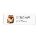 Search for pom return address labels Cute