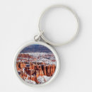 Search for extreme terrain key rings No people