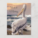 Search for pelicans invitations Coastal