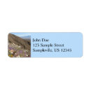 Search for saguaro cactus return address labels Nature