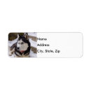 Search for resting return address labels Pet