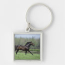 Search for agriculture key rings Fence