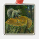 Search for press christmas tree decorations Collection