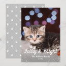 Search for furry and bright christmas cards Dog