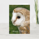 Search for barn owl Barn owls