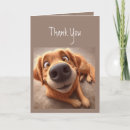 Search for nosed cards Cute