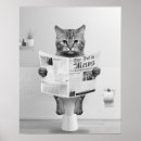 Search for white cat posters Black and white