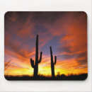 Search for sonoran mouse mats Desert
